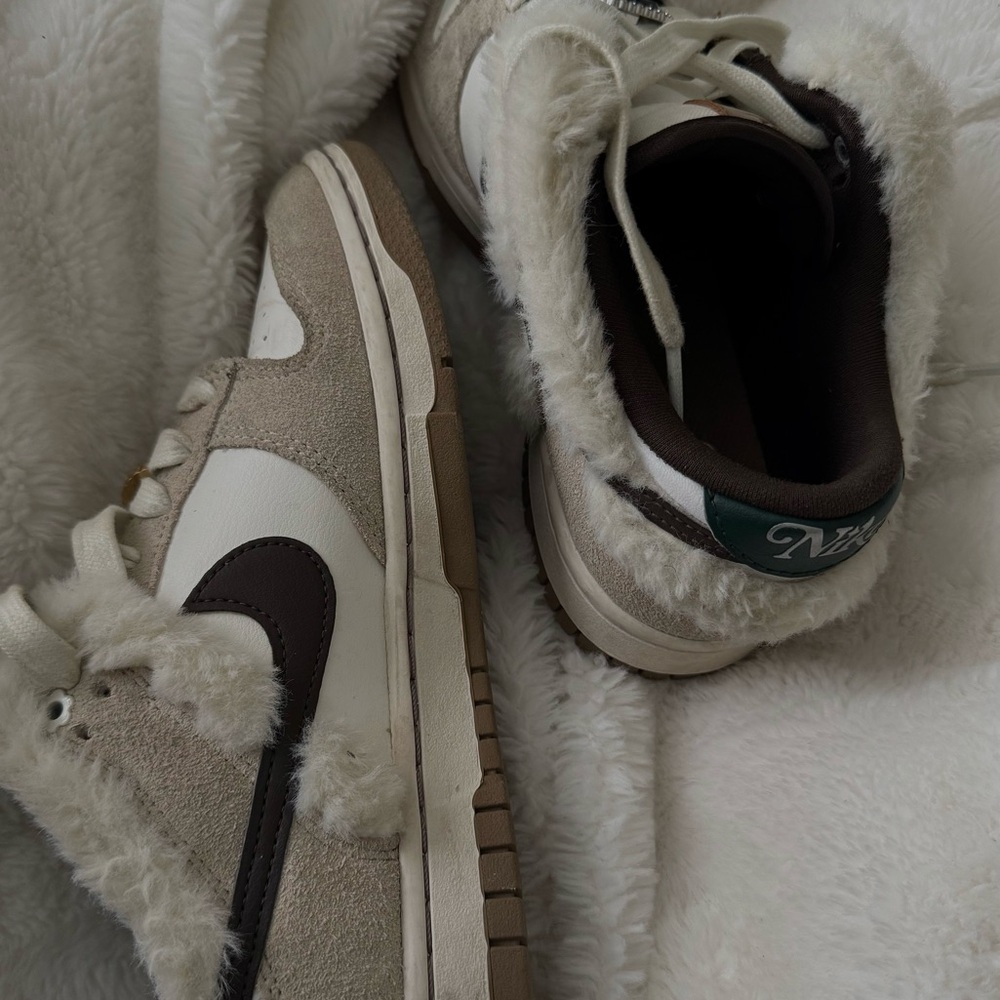 Nike low top dunks (Mink and Jewels)
